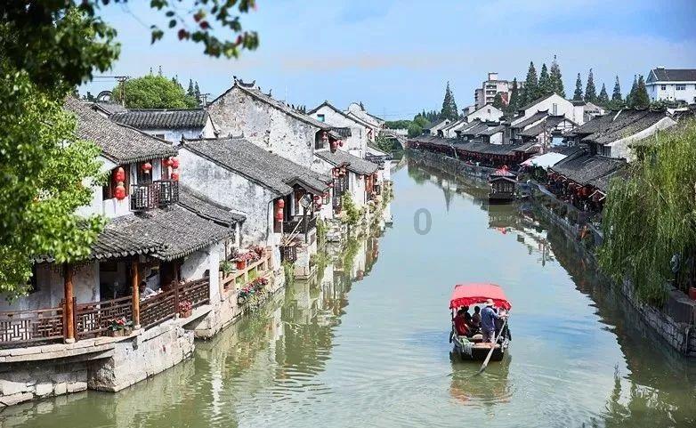 《可怜的东西》:重塑弗兰肯斯坦,女性觉醒的奇幻之旅